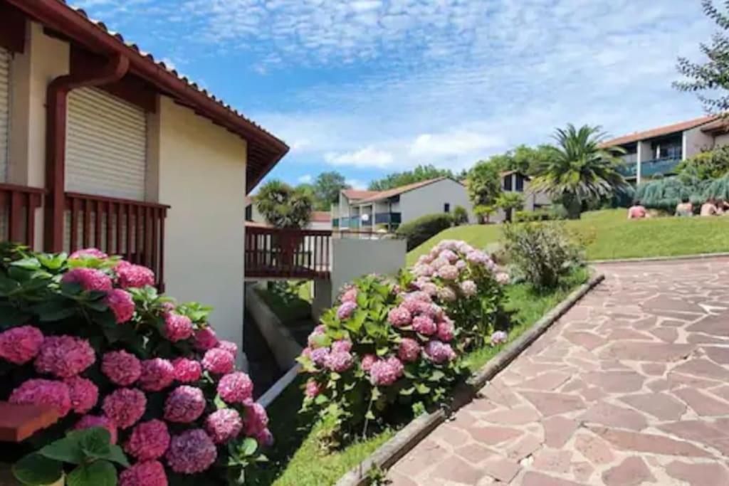 Apartmán Caporizon-Baillenia-T1 Vue Montagne - Piscine St Jean De Luz Saint-Jean-de-Luz Exteriér fotografie